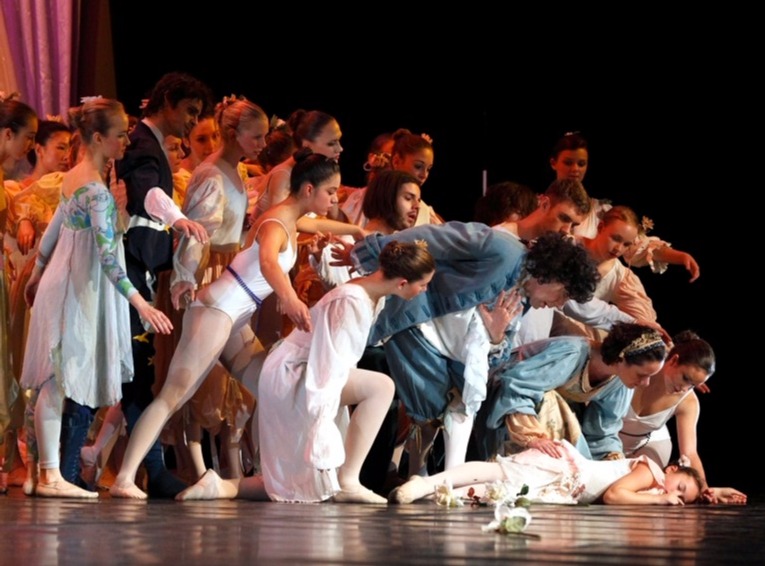 Schwanensee (P.C. Zimmermann)